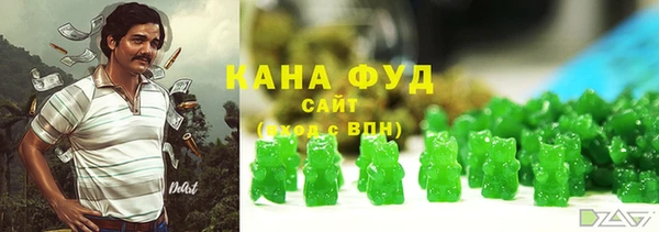хмурый Аркадак