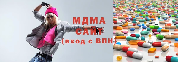 хмурый Аркадак