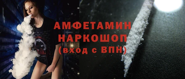 хмурый Арсеньев