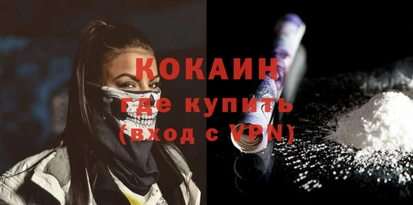 хмурый Арсеньев