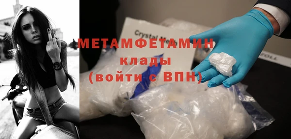 хмурый Аркадак