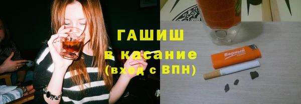 хмурый Аркадак