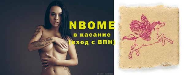 хмурый Арсеньев
