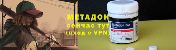 хмурый Аркадак
