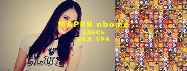 хмурый Арсеньев
