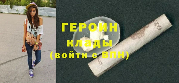 хмурый Аркадак
