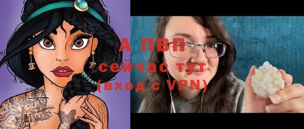хмурый Аркадак