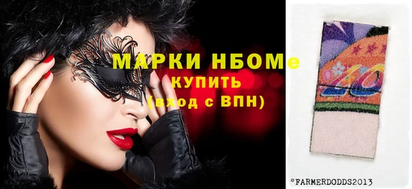 хмурый Аркадак
