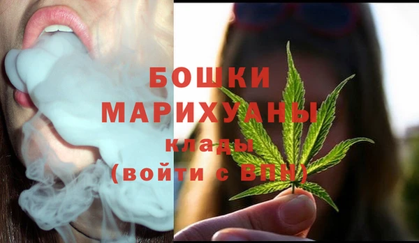 хмурый Арсеньев