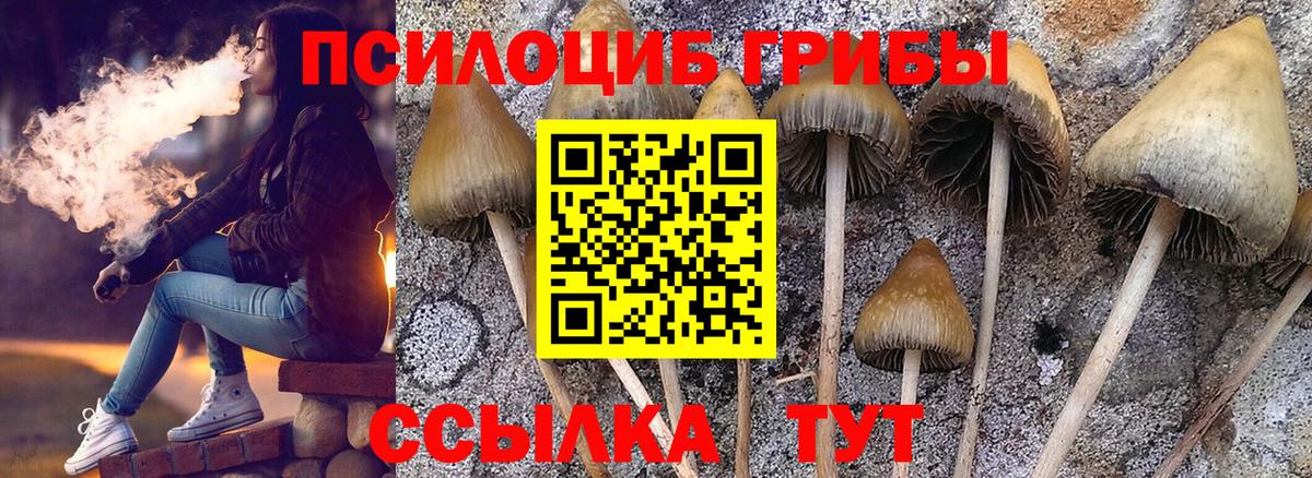 Галлюциногенные грибы Psilocybine cubensis  Вход с VPN  Лянтор 