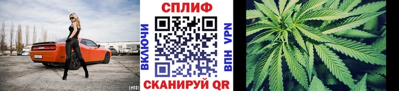 Бошки Шишки сатива Лянтор